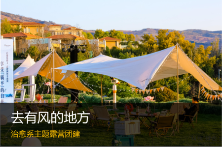 有风的地方就有生机。去追风吧，享受一场自由与美丽的大自然之旅！